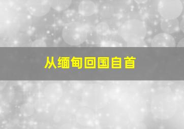 从缅甸回国自首