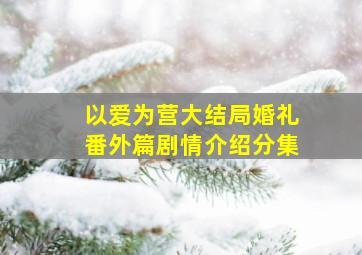 以爱为营大结局婚礼番外篇剧情介绍分集