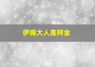 伊姆大人是阿金