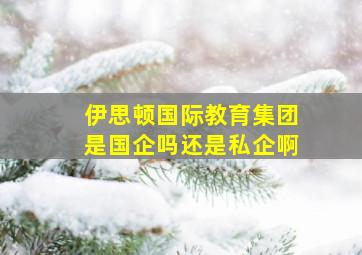 伊思顿国际教育集团是国企吗还是私企啊