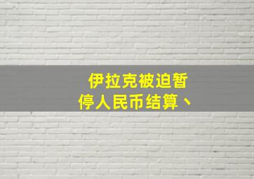 伊拉克被迫暂停人民币结算丶