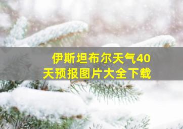 伊斯坦布尔天气40天预报图片大全下载