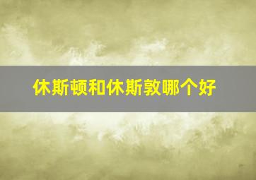 休斯顿和休斯敦哪个好