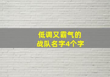 低调又霸气的战队名字4个字