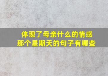 体现了母亲什么的情感那个星期天的句子有哪些