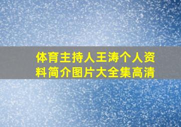 体育主持人王涛个人资料简介图片大全集高清