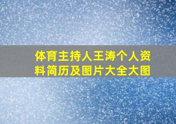 体育主持人王涛个人资料简历及图片大全大图