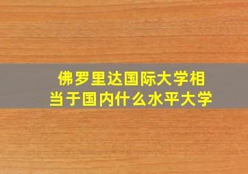 佛罗里达国际大学相当于国内什么水平大学