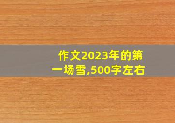 作文2023年的第一场雪,500字左右