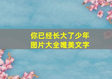 你已经长大了少年图片大全唯美文字