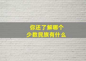 你还了解哪个少数民族有什么