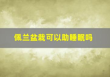 佩兰盆栽可以助睡眠吗