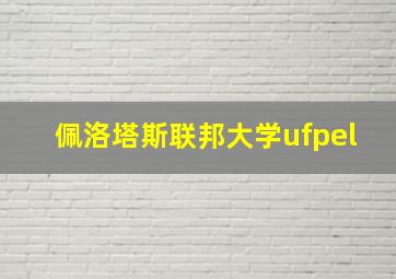 佩洛塔斯联邦大学ufpel