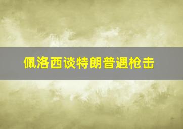 佩洛西谈特朗普遇枪击