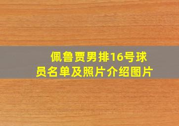 佩鲁贾男排16号球员名单及照片介绍图片