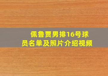 佩鲁贾男排16号球员名单及照片介绍视频