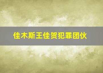 佳木斯王佳贺犯罪团伙