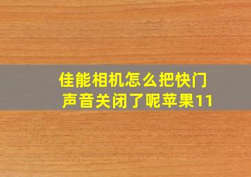 佳能相机怎么把快门声音关闭了呢苹果11