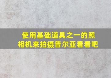 使用基础道具之一的照相机来拍摄普尔亚看看吧