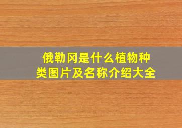 俄勒冈是什么植物种类图片及名称介绍大全