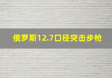 俄罗斯12.7口径突击步枪