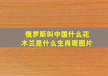 俄罗斯叫中国什么花木兰是什么生肖呢图片