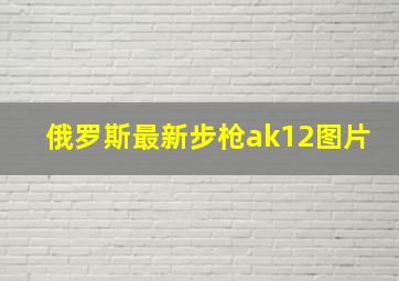 俄罗斯最新步枪ak12图片