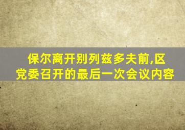 保尔离开别列兹多夫前,区党委召开的最后一次会议内容