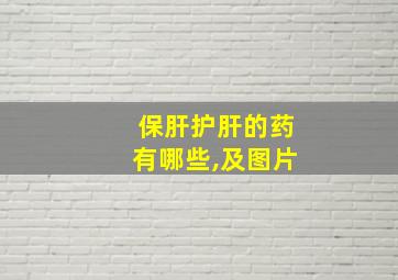 保肝护肝的药有哪些,及图片