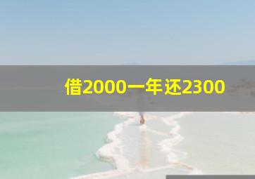 借2000一年还2300