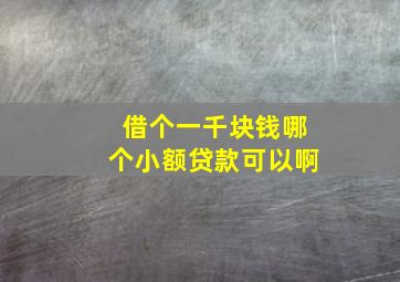 借个一千块钱哪个小额贷款可以啊