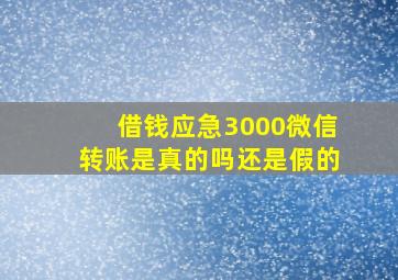 借钱应急3000微信转账是真的吗还是假的