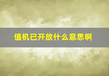 值机已开放什么意思啊