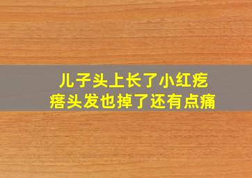 儿子头上长了小红疙瘩头发也掉了还有点痛