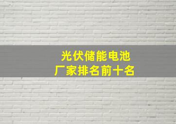 光伏储能电池厂家排名前十名