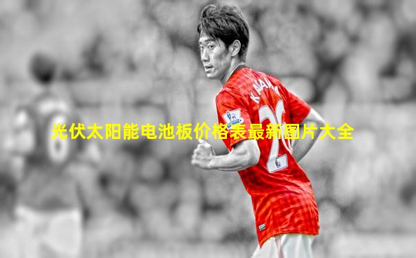 光伏太阳能电池板价格表最新图片大全