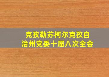 克孜勒苏柯尔克孜自治州党委十届八次全会