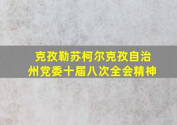 克孜勒苏柯尔克孜自治州党委十届八次全会精神