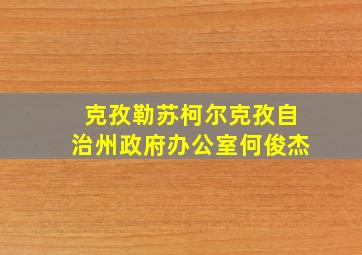 克孜勒苏柯尔克孜自治州政府办公室何俊杰