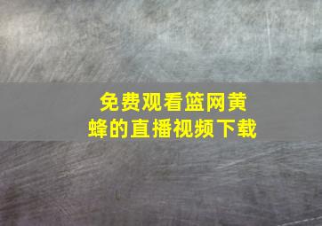 免费观看篮网黄蜂的直播视频下载