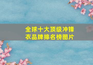 全球十大顶级冲锋衣品牌排名榜图片