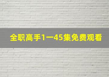 全职高手1一45集免费观看