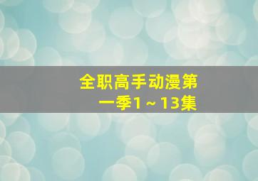 全职高手动漫第一季1～13集