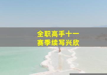 全职高手十一赛季续写兴欣