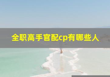 全职高手官配cp有哪些人