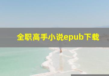 全职高手小说epub下载