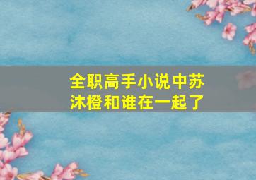 全职高手小说中苏沐橙和谁在一起了