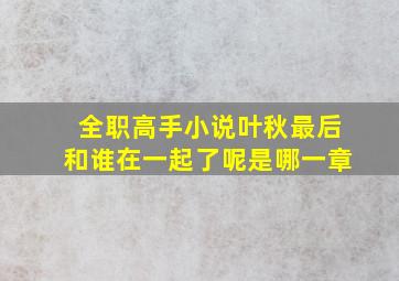 全职高手小说叶秋最后和谁在一起了呢是哪一章