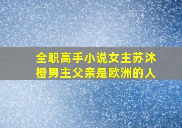 全职高手小说女主苏沐橙男主父亲是欧洲的人