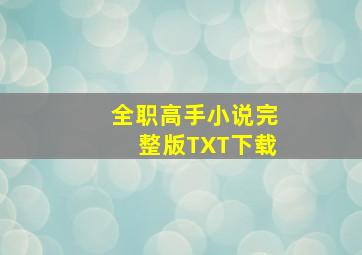 全职高手小说完整版TXT下载